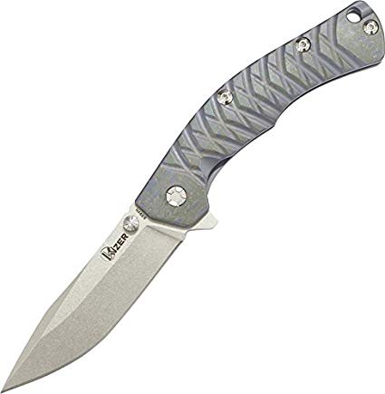 Kizer Cutlery KI4443TI2-BRK Titanium Framelock